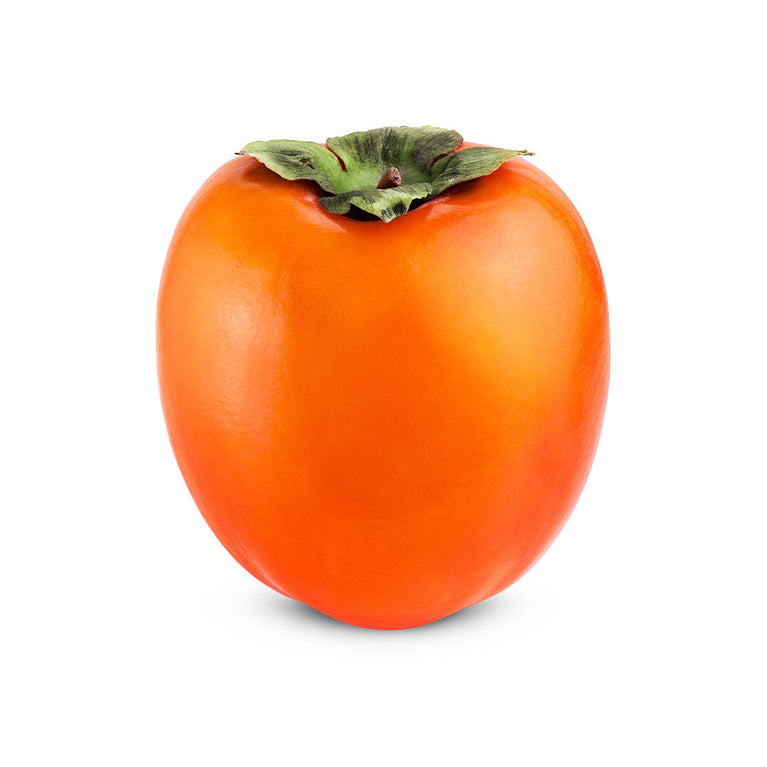 XURMA ROJO BRILIANT KQ