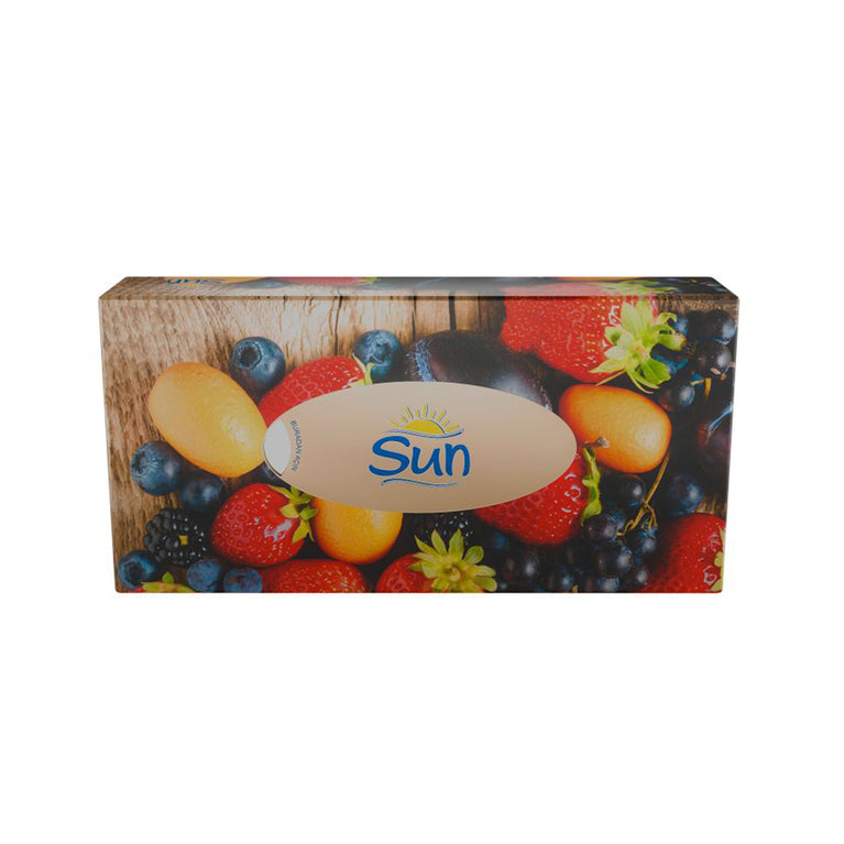 SUN QUTU DƏSMAL MEYVE 21X20 SM