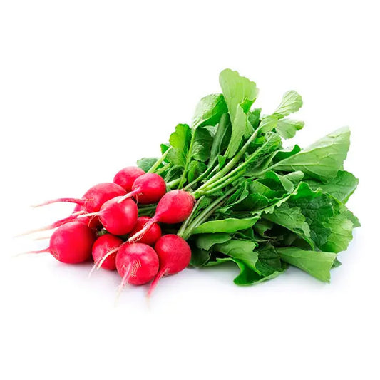 GÖYƏRTİ TURP QIRMIZI