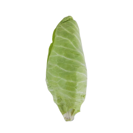 KƏLƏM AĞ MAYOFKA KQ