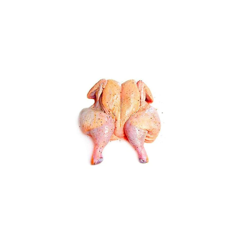 TƏZƏ TOYUQ BÜTÖV SOSLU KQ