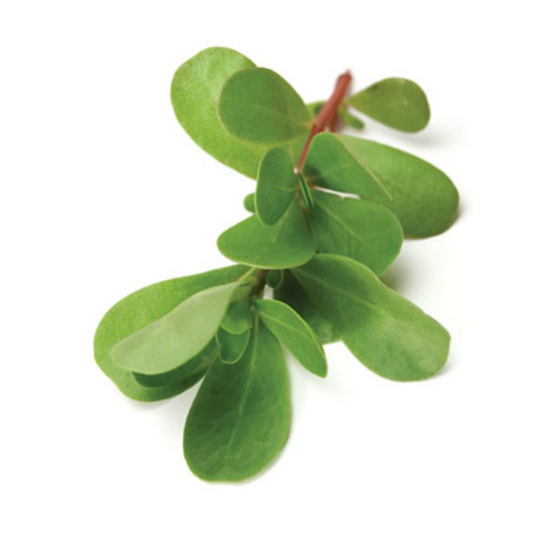 GÖYƏRTİ PƏRPƏTOYUN