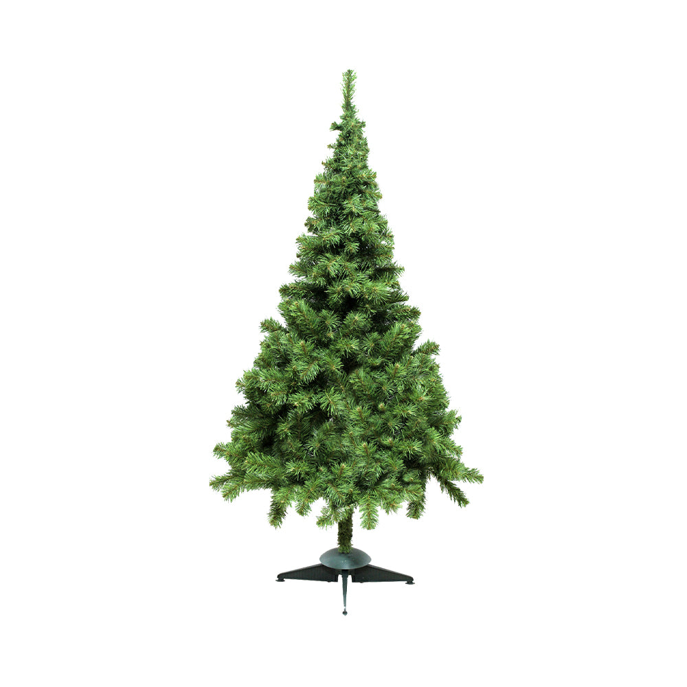 LEVA ŞAM AĞACI 150 SM – Bazarstore