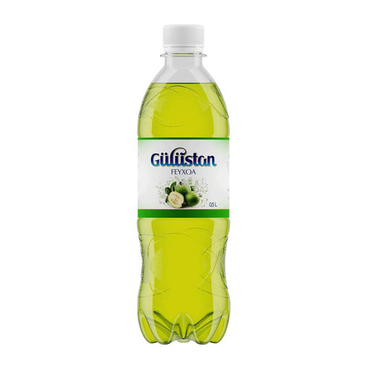 GULUSTAN LİMONAD 500 ML FEYXOA