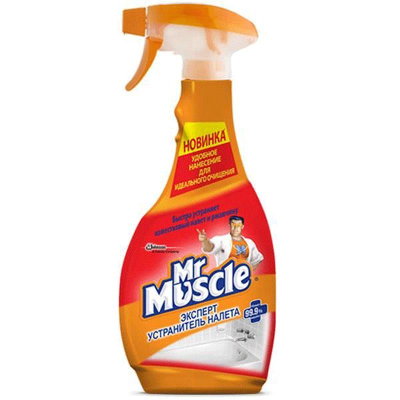 MR MUSCLE PASA QARŞI MAYE 500 ML