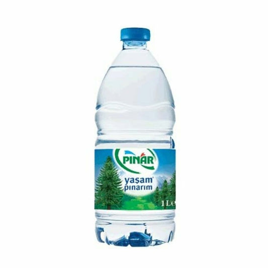 PINAR SU 1 L QAZSIZ