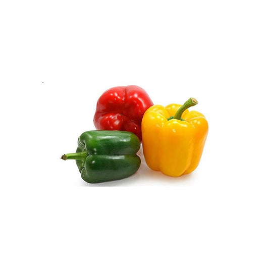 GOZEL TEBIET RENGLI BIBER KG