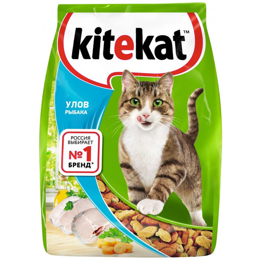 KITEKAT 350 QR BALIQ DADLI