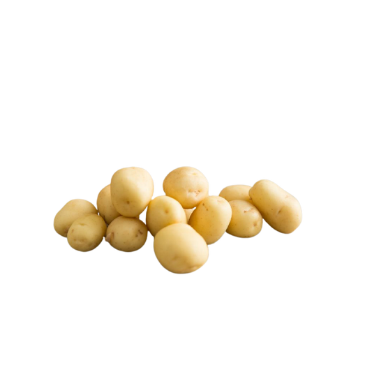 KARTOF TEZE SEMKIR KG