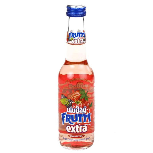 ULUDAĞ FRUTTI ORMAN MEYVƏLI 250ML