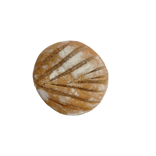 SUN BAKERY COVDARLI COREK