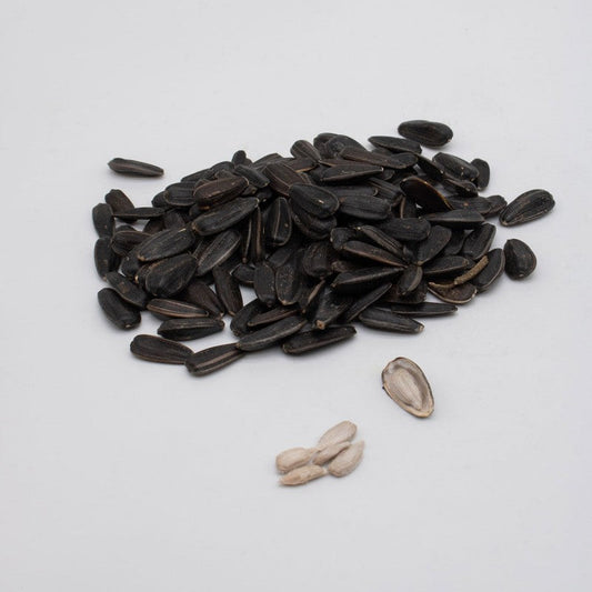 LEZIZ CEREZ GUNEBAXAN TUMU KG