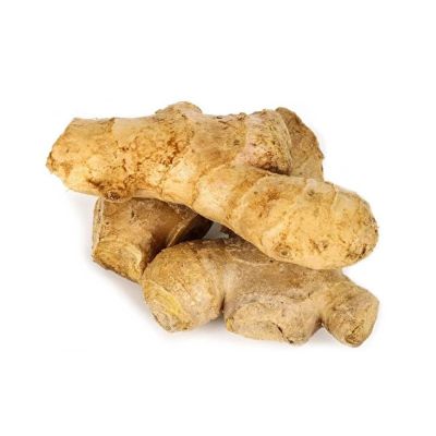 LEZIZ CEREZ ZENCEFIL KOTUK KG