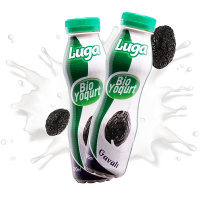 LUQA İCMƏLİ PROBİO GAVALI YOQURT 290QR