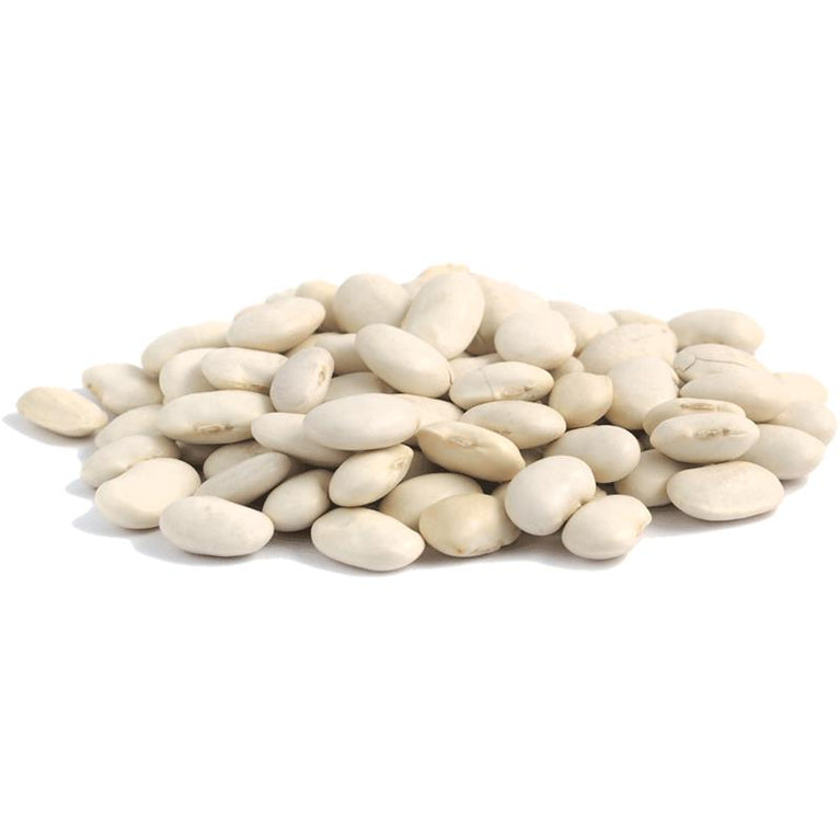 GÜLÜM AĞ LOBYA KQ