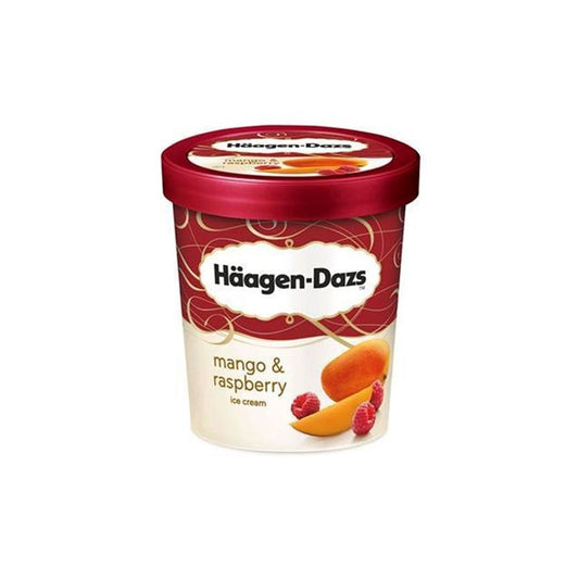 HAAGEN DAZS MANGO & MORUQ 460 QR