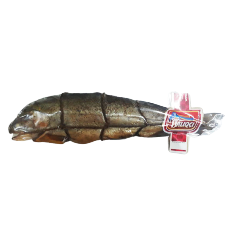 BALIQI ÇAY FORELİ İ/H 220 QR