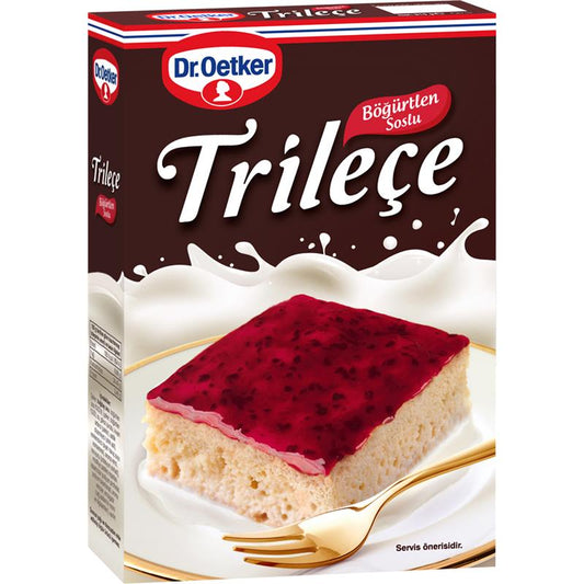DR.OETKER TRİLECE BÖYÜRTKƏN SOS 315GR