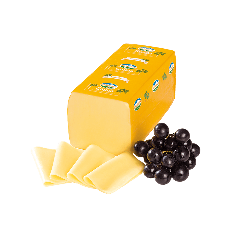 ALMANIYA GOUDA PENDIRI 48% WEIDEGLUCK KG