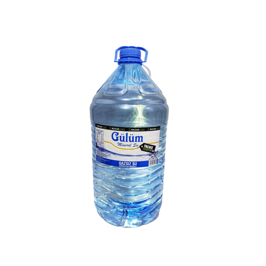 GULUM SU 10 L QAZSIZ