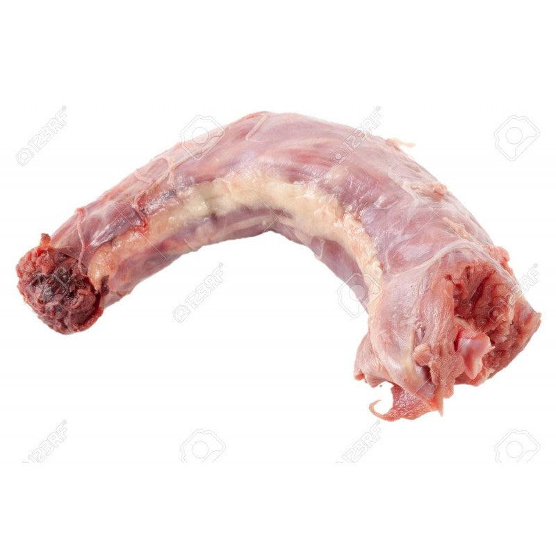 MELEA HİND TOYUĞU BOĞAZ KQ