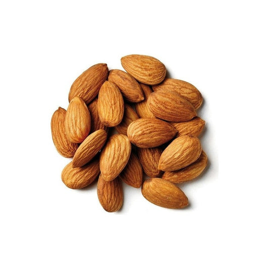 GULUM BADAM İÇİ TÜRK KQ