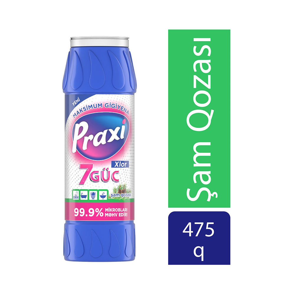 PRAXİ OVMA TOZU 475 ML ŞAM XLORLU