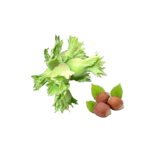 FINDIQ TEZE KG