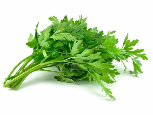 GÖYƏRTİ CƏFƏRİ