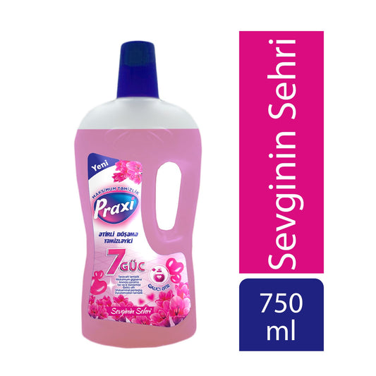 PRAXI DÖŞƏMƏ TƏMİZLƏYİCİ 750 ML SEVGI SE