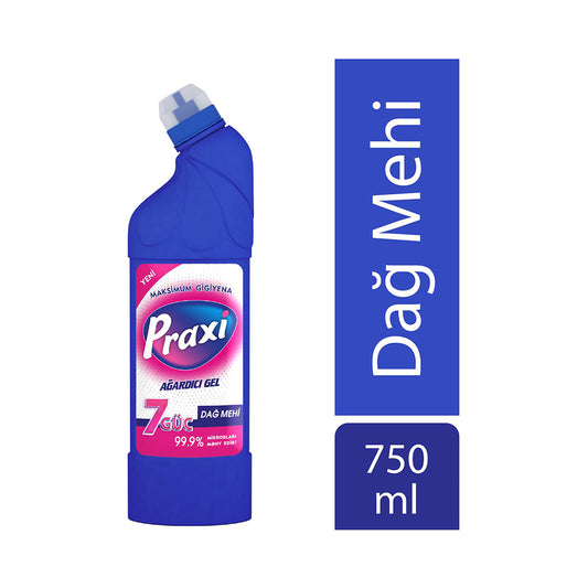 PRAXİ AĞARDICI GEL 750 ML DAĞ MEHİ