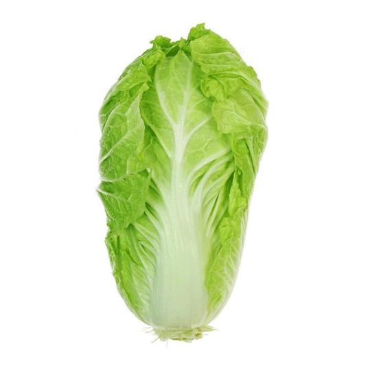 ÇİN KƏLƏMİ