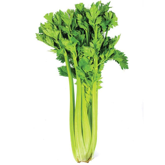 KƏRƏVİZ YARPAĞI