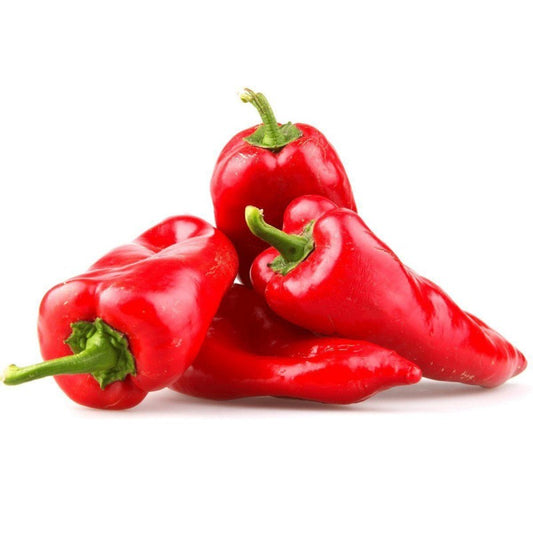 BİBƏR KAPYA KQ