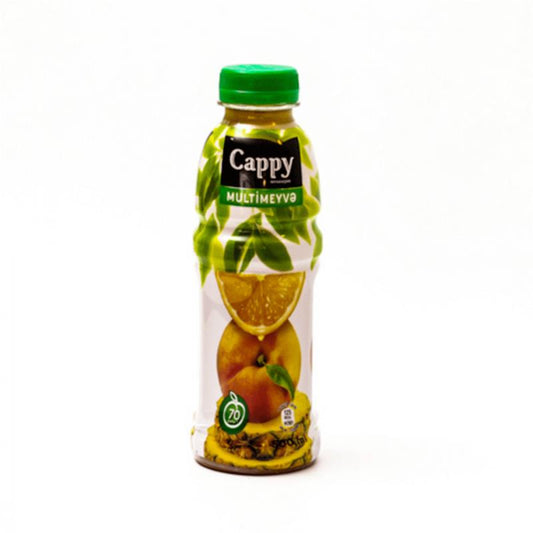 CAPPY M.ŞİRƏSİ 500 ML MULTİMEYVƏ PL