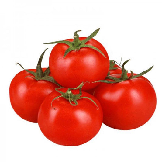 ZİRƏ POMİDORU KQ