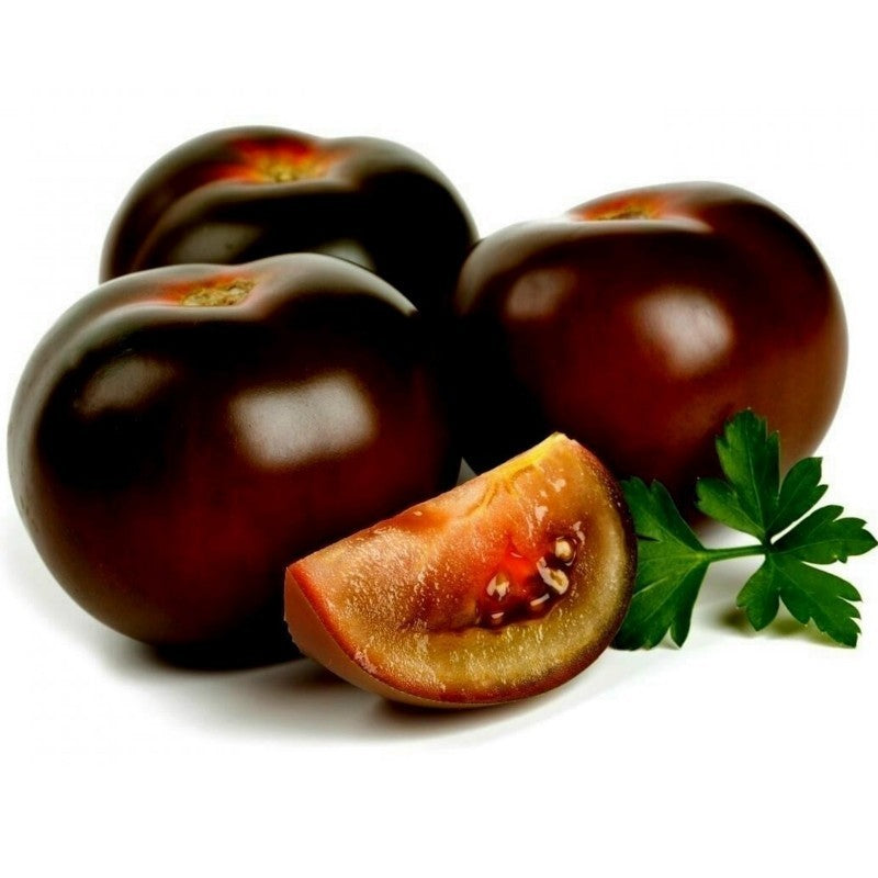 POMİDOR CHERRY QARA KQ