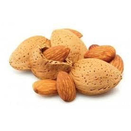 BADAM QABIQLI KG