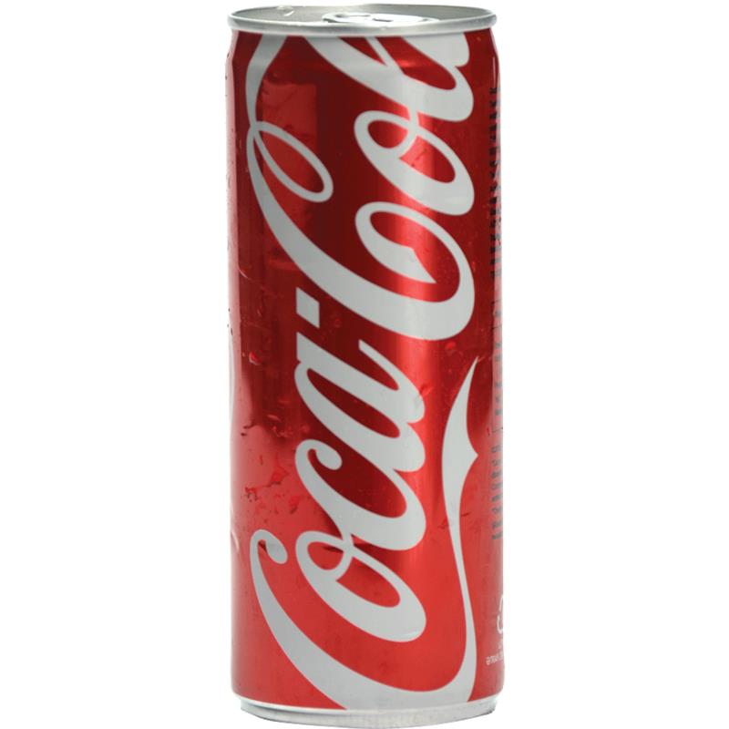 COCA COLA 250 ML QUTU