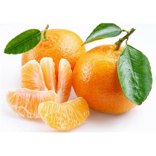 MANDARİN ENDİRİMLİ YERLİ KQ