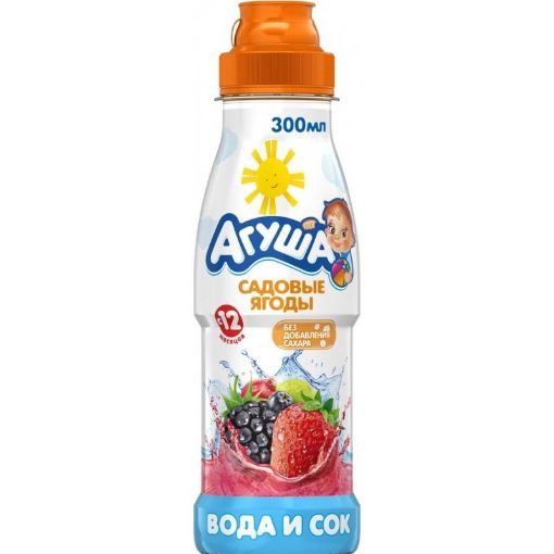 AQUSA M.ŞİRƏSİ 300 ML GİLƏMEYVƏLİ şəkli