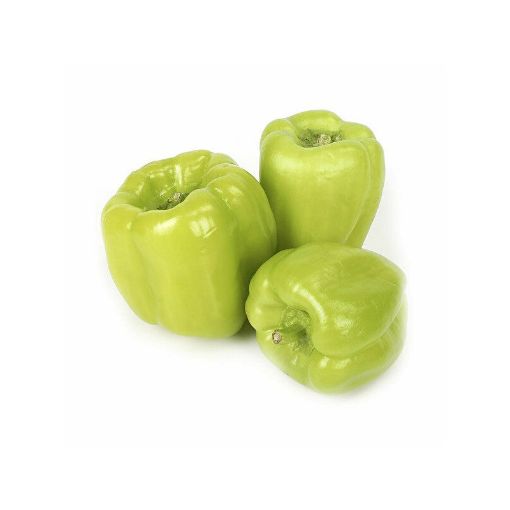 BIBER DOLMA IDXAL KG şəkli