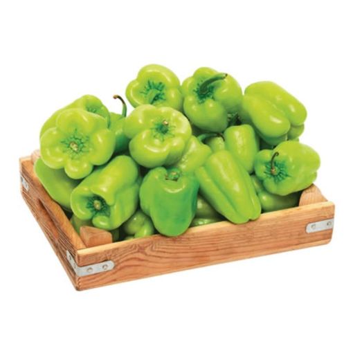 BİBƏR DOLMA KG şəkli