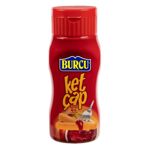 BURCU KETÇUP ACILI 250 Q şəkli