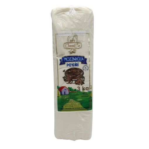 CHEESELLA MOZZARELLA PENDİR KQ şəkli