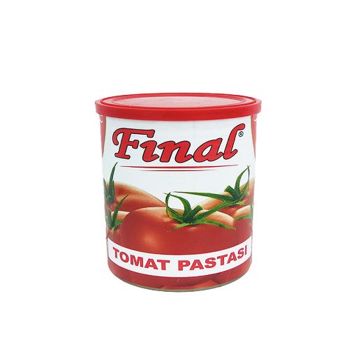 FINAL TOMAT PASTASI 400 Q TNK şəkli