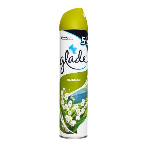 GLADE HAVA TRVT 300 ML YABANI ÇİÇƏK HS şəkli