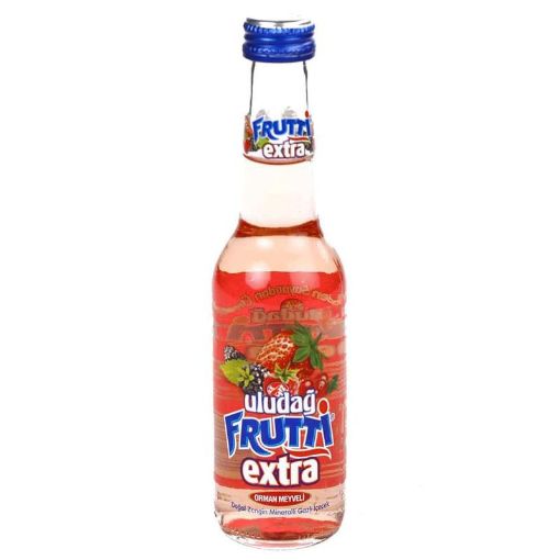 ULUDAĞ FRUTTI MEYVƏ SUYU 250 ML GİLƏM. şəkli
