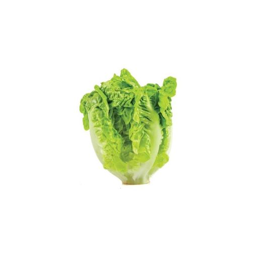 KAHI PAKET şəkli
