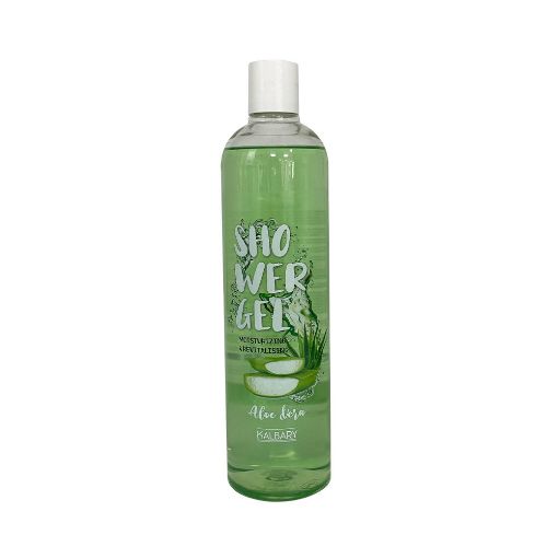 KALBARY DUŞ GELİ 650 ML ALOE VERA şəkli